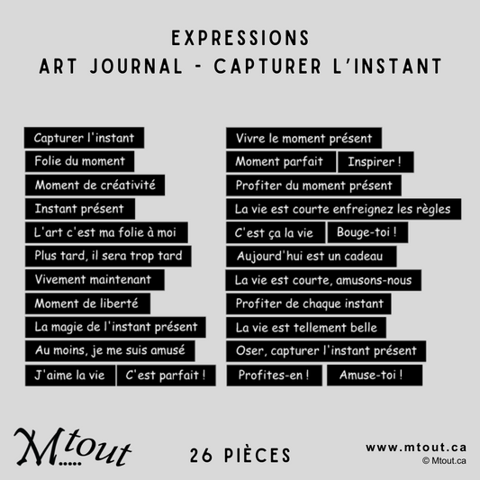 Expressions Art journal - Capturer l'instant