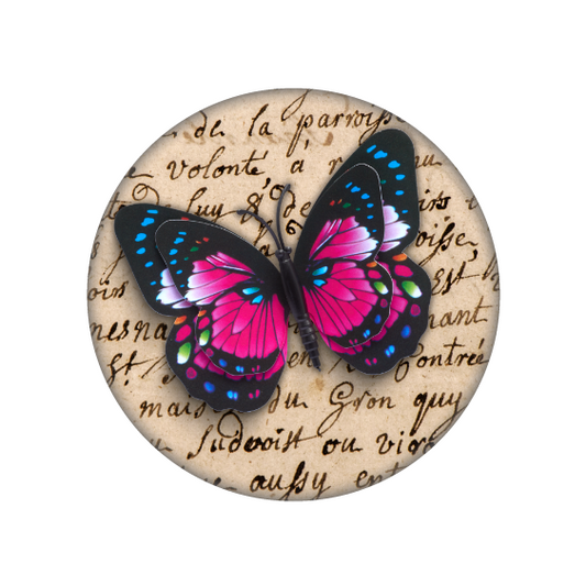 Badge Papillon multicolor