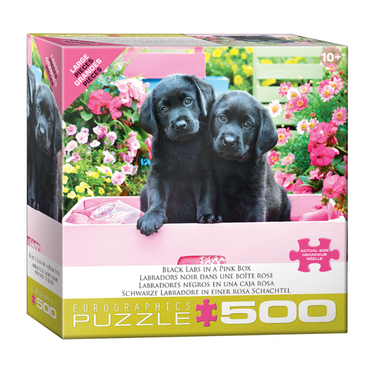 Casse-tête Labradors noirs dans une boîte rose