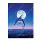 Carte de souhait Dauphin au clair de lune - Imagimex - Mtout