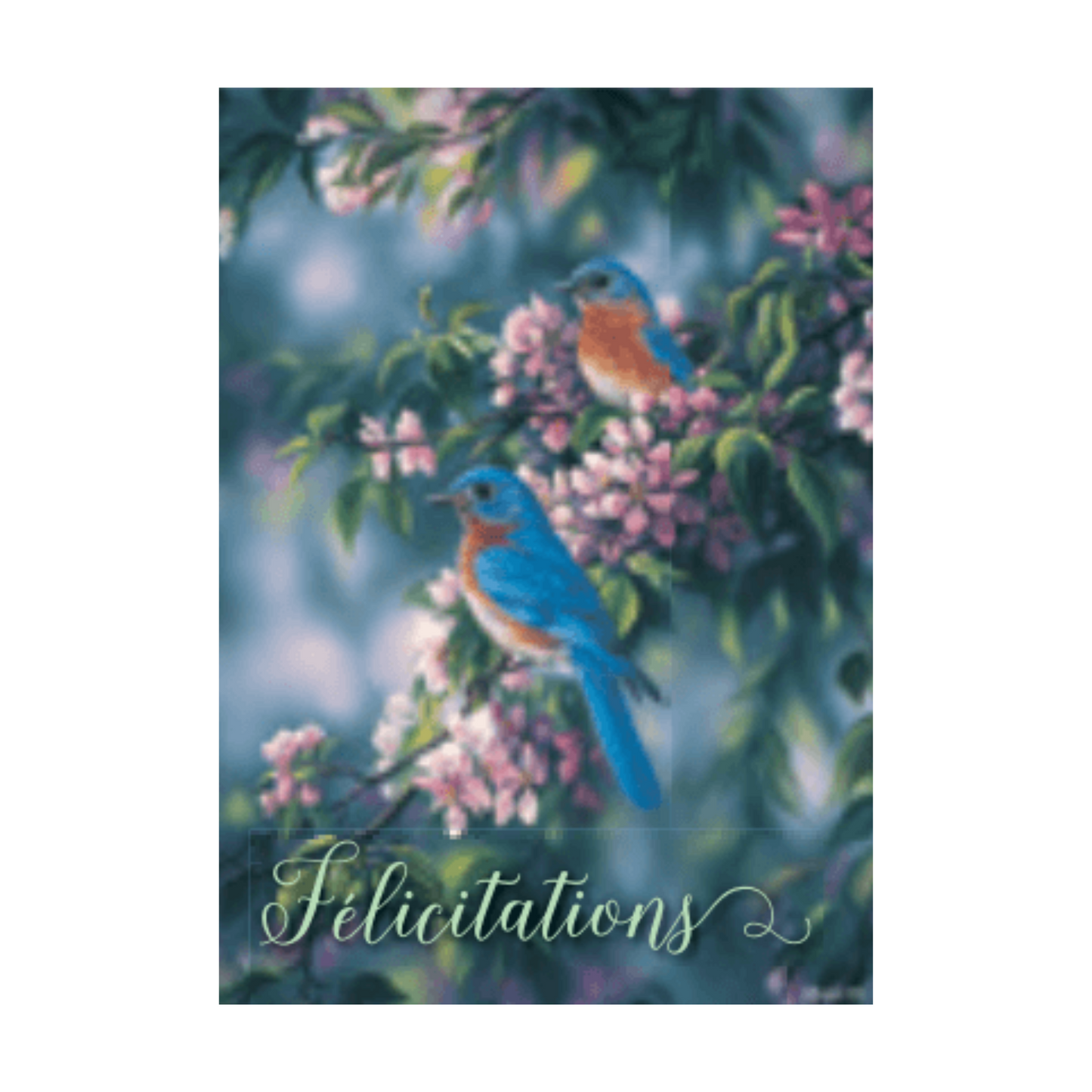Carte de souhait Félicitations oiseaux bleus - Imagimex - Mtout