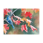 Carte de souhait Geai bleu en automne - Imagimex - Mtout