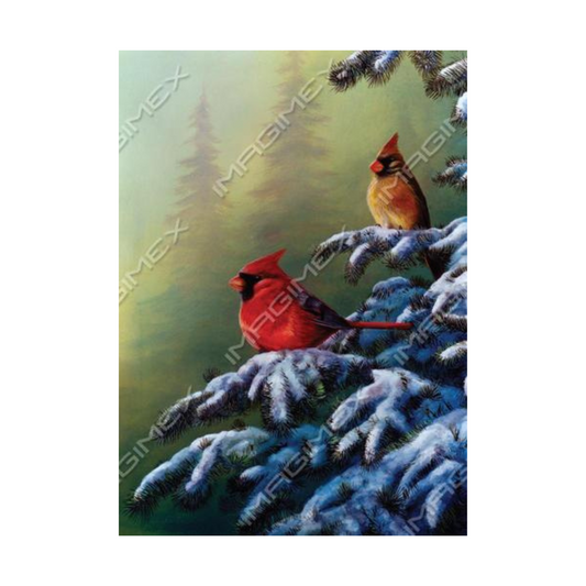 Carte de souhait Oiseaux en hiver - Imagimex - Mtout