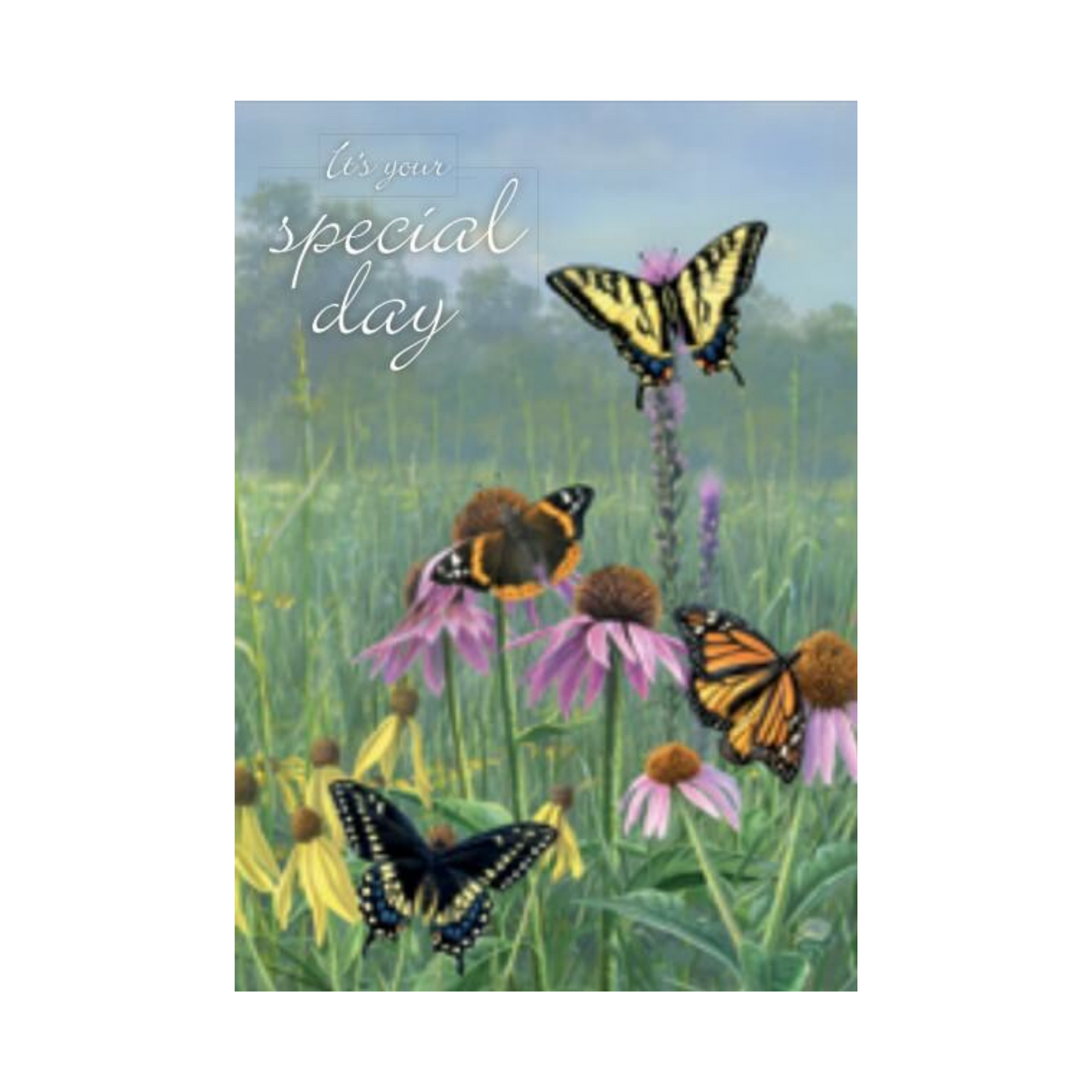 Carte de souhait Papillons et fleurs - Imagimex - Mtout
