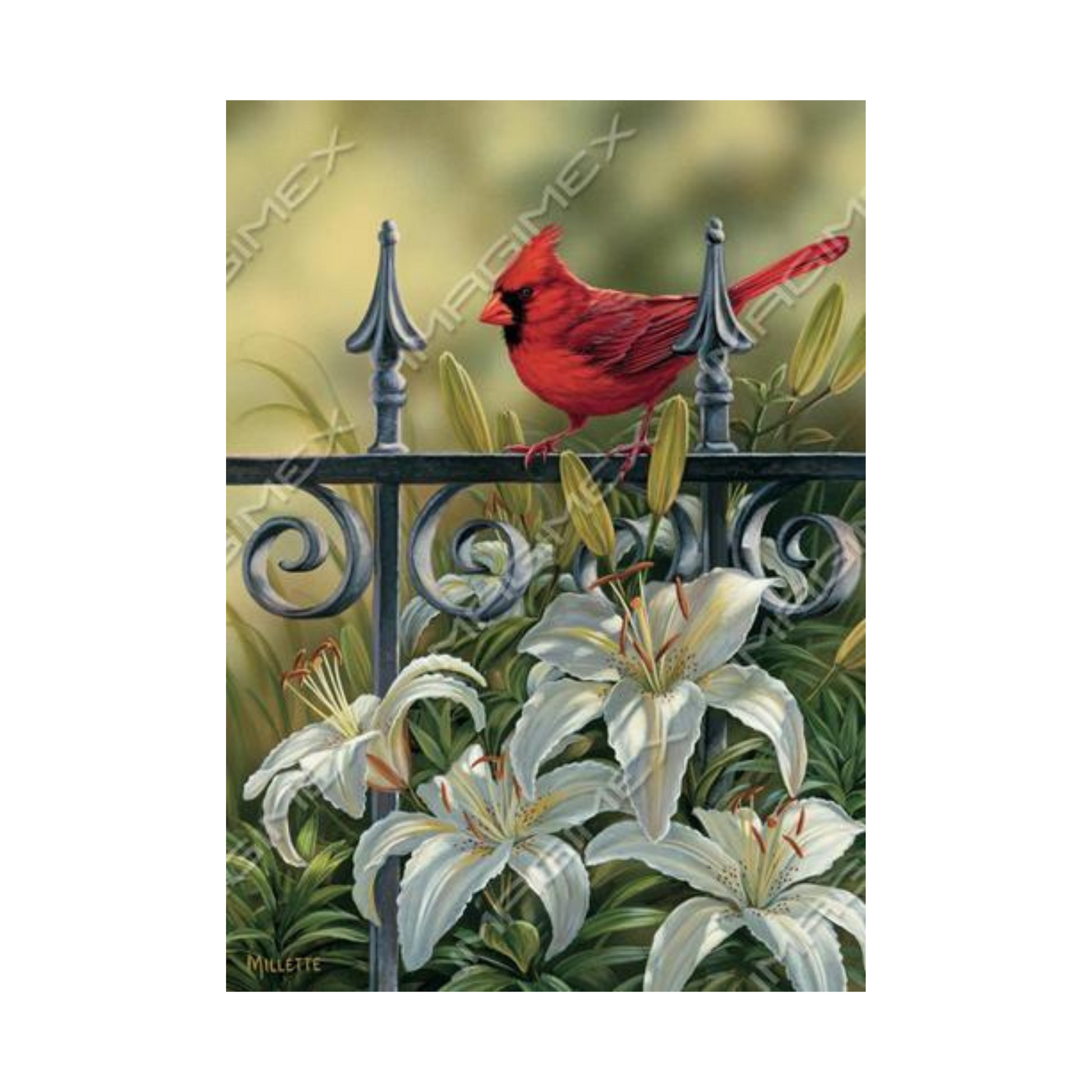Carte de souhait Cardinal rouge - Imagimex - Mtout