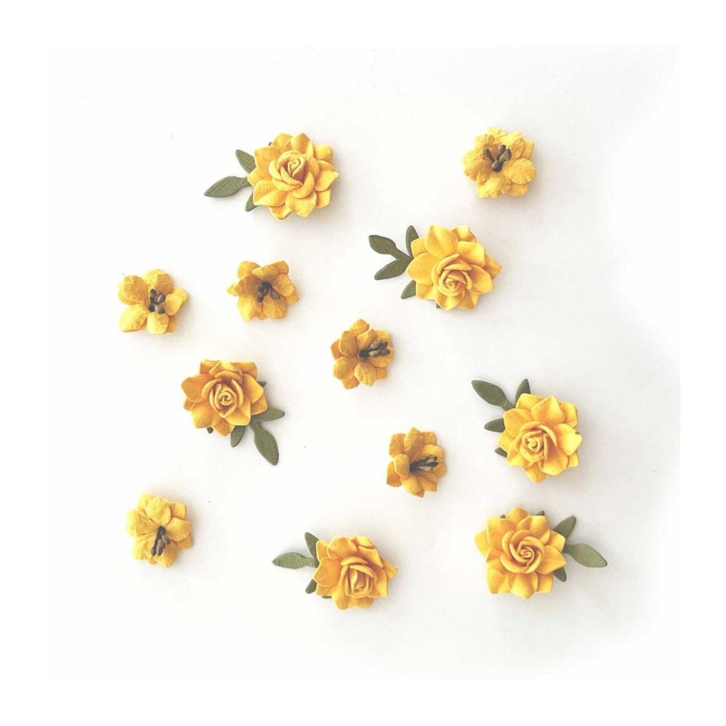 Fleurs (roses) jaunes